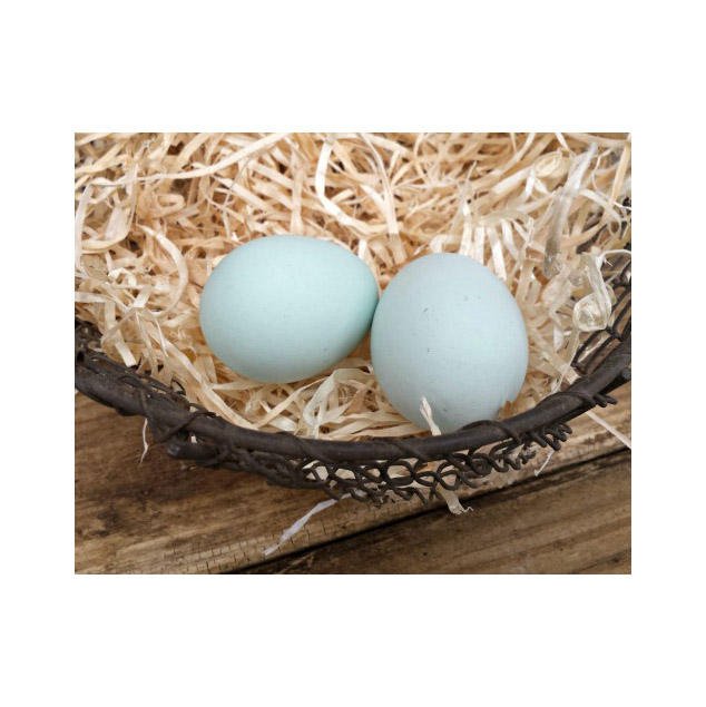 Farm Fresh Chicken Table Eggs